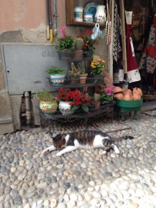 わしな、もう飲まれへんねん。眠たいわ〜、、、くたぁ。。。